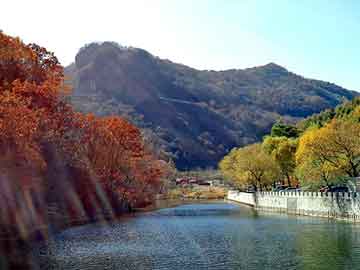 新澳天天开奖资料大全旅游团，万圣节南瓜